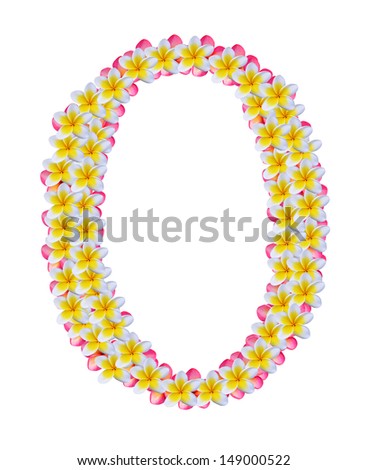 letter o Frangipani flower isolated on white