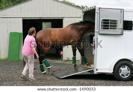 horse being led into trailer Royalty-Free Stock Photo #1490033