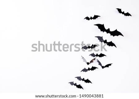 Top view of Halloween crafts, black paper bats flying over white background with copy space for text. halloween concept.