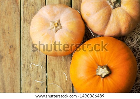 Orange and peachy pumpkins on straw on plank wood background. Thanksgiving fall harvest abundance concept. Poster card banner copy space