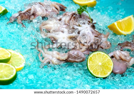 small fresh octopuses, lie on the ice blue sea background, slices of lemon and lime are sliced round, around, with greens light, top side view, around