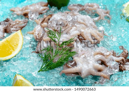 small fresh octopuses, lie on the ice blue sea background, slices of lemon and lime are sliced round, around, with greens light, top side view, around