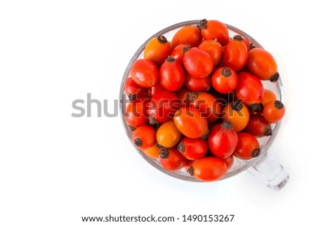 rosehip berries on white background
