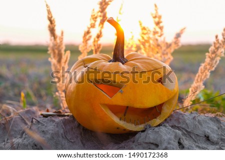Pumpkin Halloween symbol on the dry grass at sunset in the autumn field. Reflection of the sun on dry grass. The pumpkin Halloween smile has rusty nails instead of teeth.