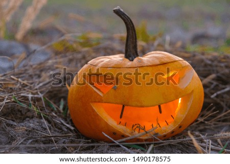 Pumpkin Halloween symbol on the dry grass at dusk in the autumn field. The pumpkin Halloween smile has rusty nails instead of teeth.