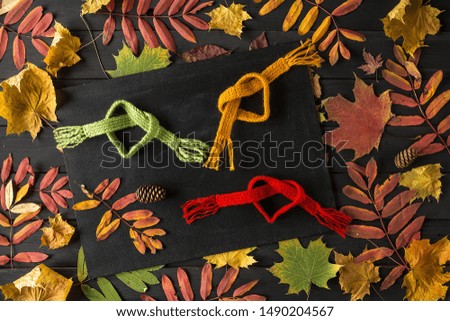 Creative Still Life Autumn Composition. Frame Made of autumn leaves and Scarf. Copy Space.