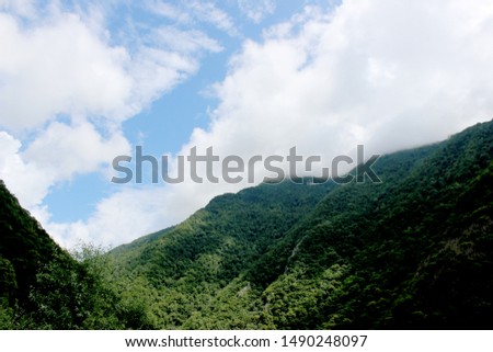 Ritsa National Park tropical nature photo with bank, river and green mountains. Rest travel photo without people