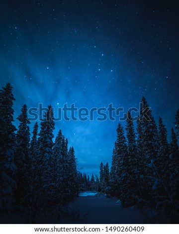 Moonlight night in the Swedish country side