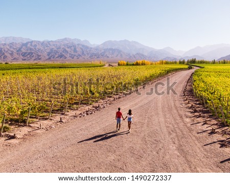 Cute Couple walking down path leading towards nature, view of mountain background, blue clear sky and green vineyards. Perspective, goal, outdoors, nature, travel concepts. Mendoza, Argentina