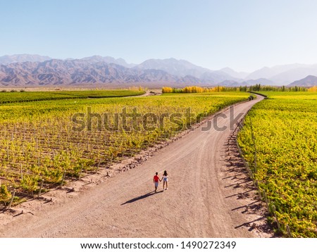 Cute Couple walking down path leading towards nature, view of mountain background, blue clear sky and green vineyards. Perspective, goal, outdoors, nature, travel concepts. Mendoza, Argentina