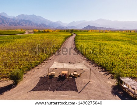 Outdoor lounge furniture (chair, table) with Vineyard view, leading towards nature, view of mountain background, blue clear sky and green winery. Outdoors, nature, travel concepts. Mendoza, Argentina