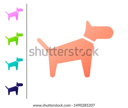 Coral Dog icon isolated on white background. Set color icons