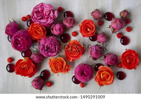 Pink and orange roses with berries background