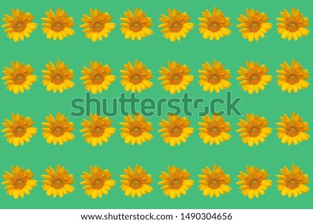 On a colorful background sunflower saw a colorful flower pattern