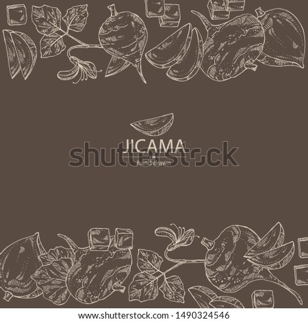 Background with jicama: tuber of jicama, leaves, flower and slice. Pachyrhizus erosus. Vector hand drawn illustration. 