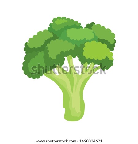 fresh broccoli vegetable nature icon Royalty-Free Stock Photo #1490324621