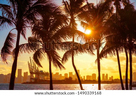Scenic sunset view of the city skyline on Biscayne Bay in Miami, Florida, USA