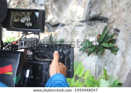Videographer are taking pictures and videos of orchids in nature.