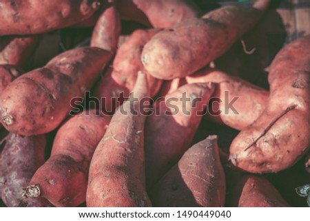 Fresh sweet potato on a market