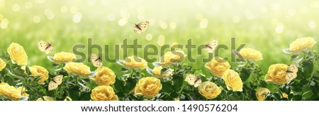 Mysterious spring or summer bright background with many yellow fluttering butterflies and blooming fantasy yellow roses flowers blossom and glowing sparkle bokeh
