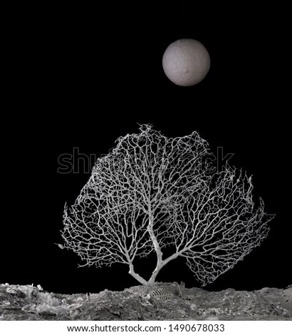 dead tree and moon, abstract black halloween background