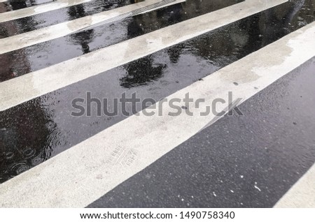 Zebra pedestrian crossing during rain with reflections of people with umbrellas