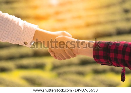 Closeup of businessman handshake with farmer greeting business deal at green tea plantation,growth agriculture and outdoor nature farmland concept.