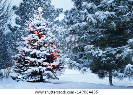 This Snow Covered Christmas Tree stands out brightly against the dark blue tones of this snow covered scene.