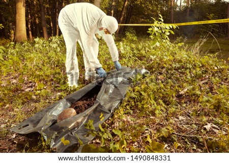 Collecting of human remains to plastic body bag by police technician for observing Royalty-Free Stock Photo #1490848331