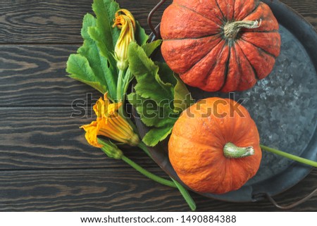 two pumpkins on a metal tray on a dark wooden table