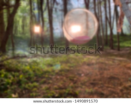 Alice in Wonderland Forest blur background 