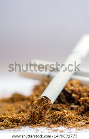 Close up view of the filtered cigarettes on stack of tobacco. British English is a narrow cylinder containing psychoactive material, usually tobacco, that is rolled into thin paper for smoking.