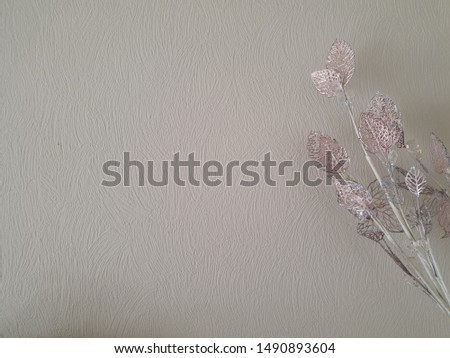 plant with pink leaves and wall