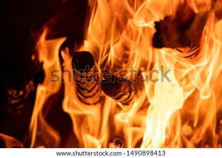 Flames of fire in charcoal with firewood