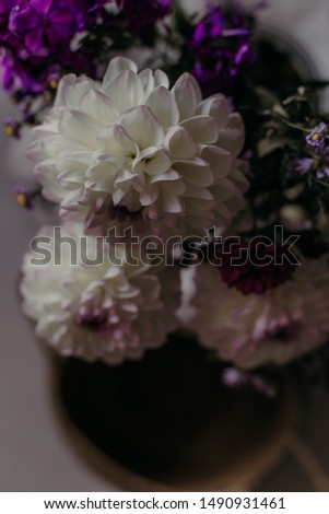 A bouquet of Dahlia flowers on a vintage wooden chair, close up