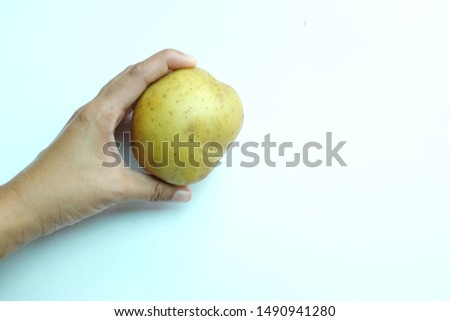 Woman hand picking up Fresh potatoes on white background
