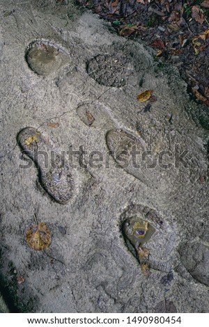 Footprints on the ground in a walkway of Vintgar Gorge, Slovenia