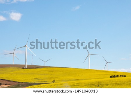 Wind turbines against yellow fields, South Africa Royalty-Free Stock Photo #1491040913