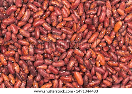 Red kidney bean texture background. Mexican Bean. A large, kidney-shaped bean with a subtle sweet flavor and soft texture that keep their shape during cooking.