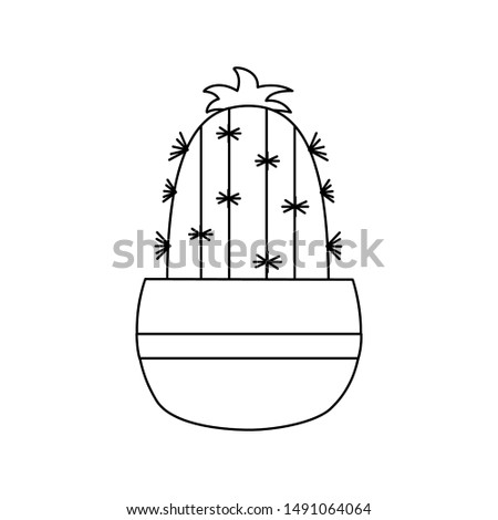 Cactus inside pot design, Plant desert nature tropical summer mexico and western theme Vector illustration