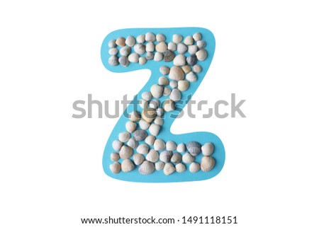 Letter Z lined with shells on blue. Letter Z isolated on white background. Font for text on the theme of the sea, water, beach.