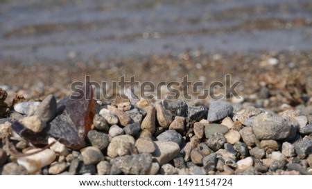 beach with pebbles and coast