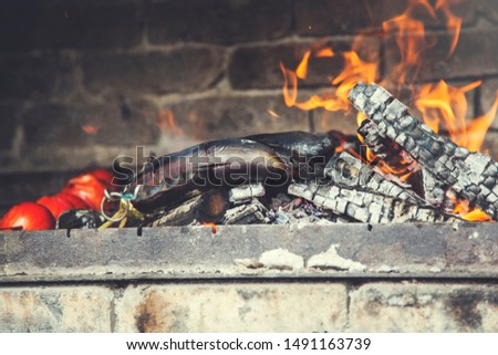 eggplant in the  barbecue on fire background