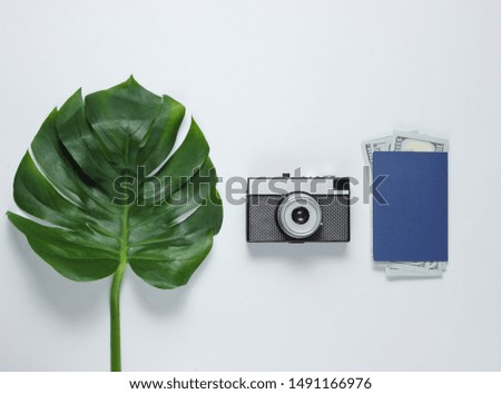 Traveled minimalistic still life. Monstera leaf, retro camera, passport with dollar bills on a white background. Top view