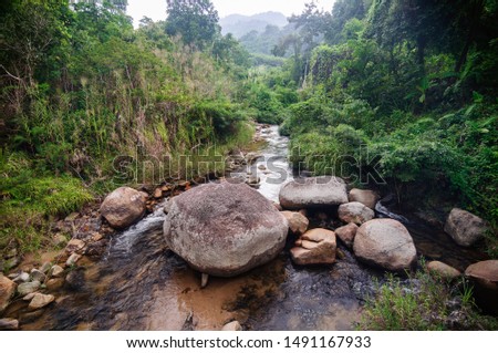 Mountain river with boulders in the jungle.