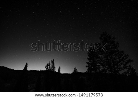 Night Sky with Landscape Silhouette