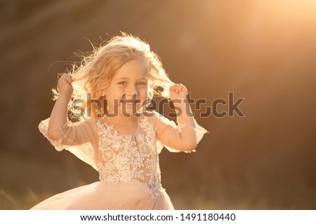Portrait of a beautiful little princess girl in a pink dress. Posing in a field at sunset.