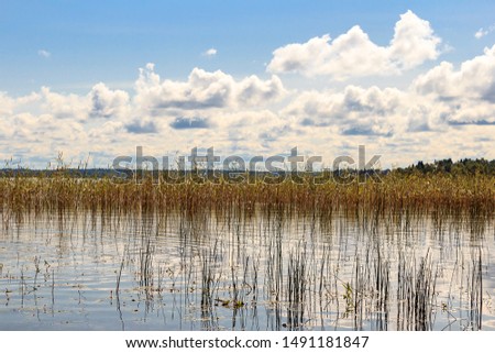 Lake Valday. Harmonious picture of tranquil lake with reflections of trees and sky. Shore of the Valdayskoye Lake. Water landscape in Russia. Summer forest lake panorama. Sun reflected