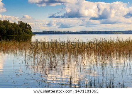 Lake Valday. Harmonious picture of tranquil lake with reflections of trees and sky. Shore of the Valdayskoye Lake. Water landscape in Russia. Summer forest lake panorama. Sun reflected