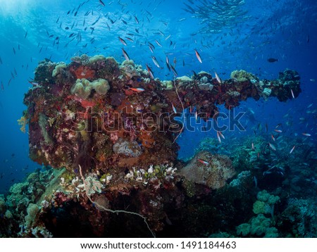 Wreck Diving Truk Lagoon, Weno Chuuk State Royalty-Free Stock Photo #1491184463